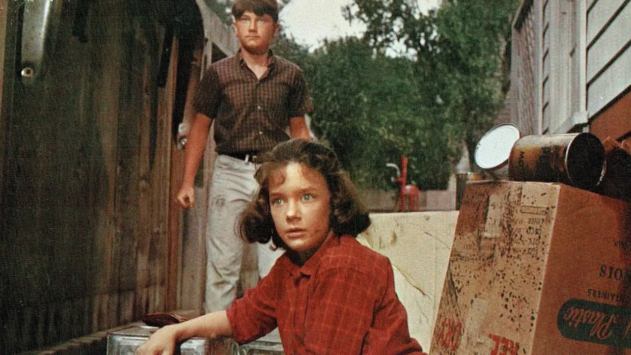 Um Tigre Caminha pela Noite