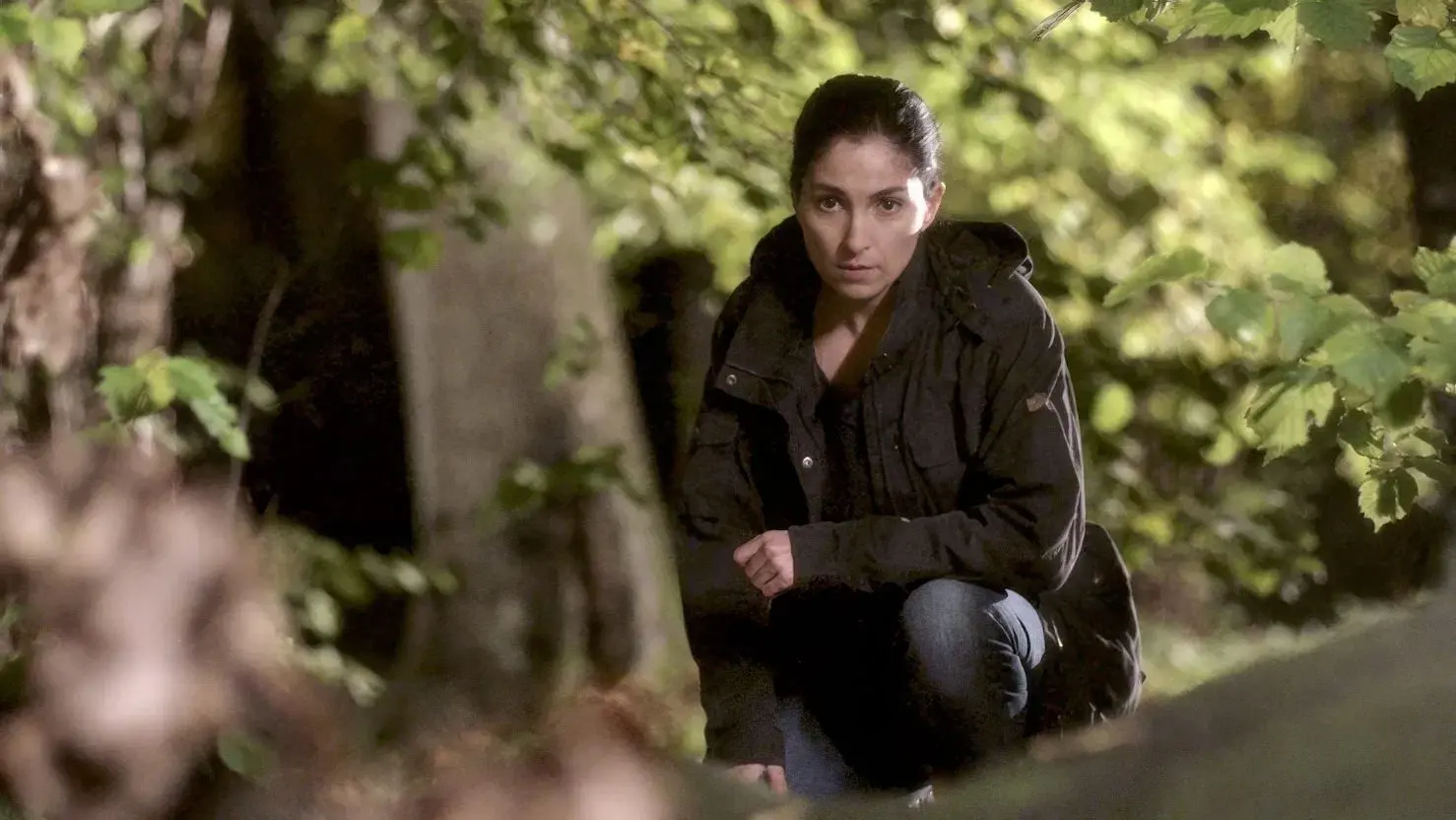 Johan Falk: A Mãe de Todos os Roubos