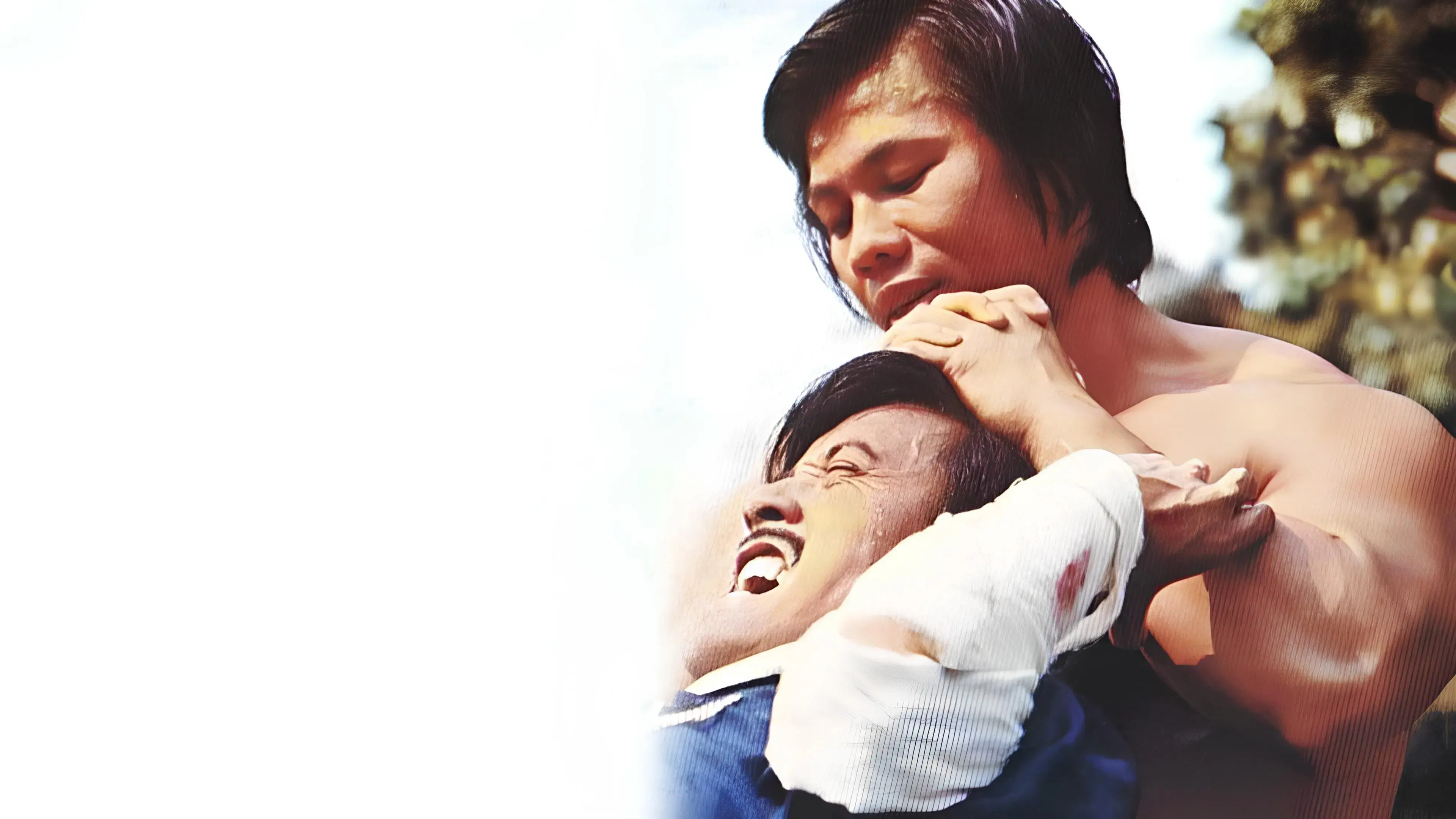 A Volta do Dragão Chinês