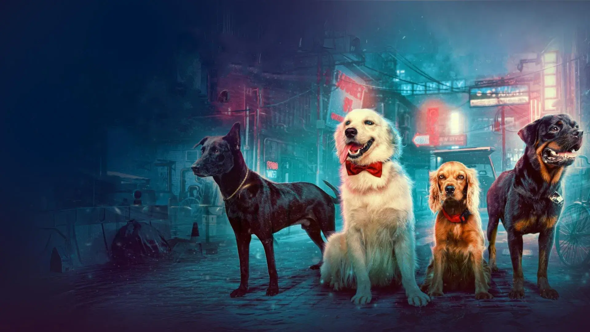 Valatty: Jornada de Amor e Amizade