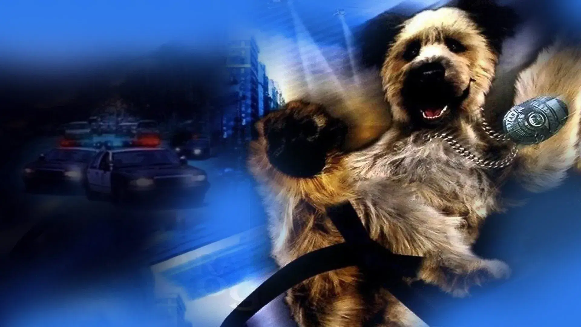 Karatê Dog: O Cão Marcial