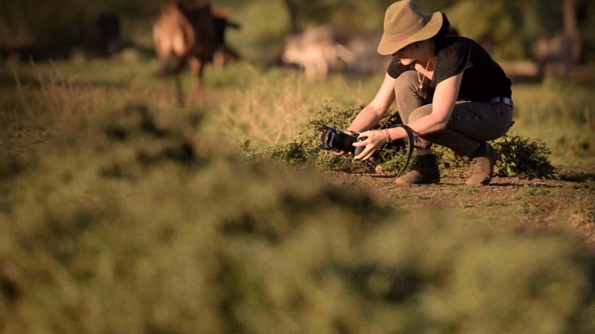 Mulheres: Histórias de Impacto