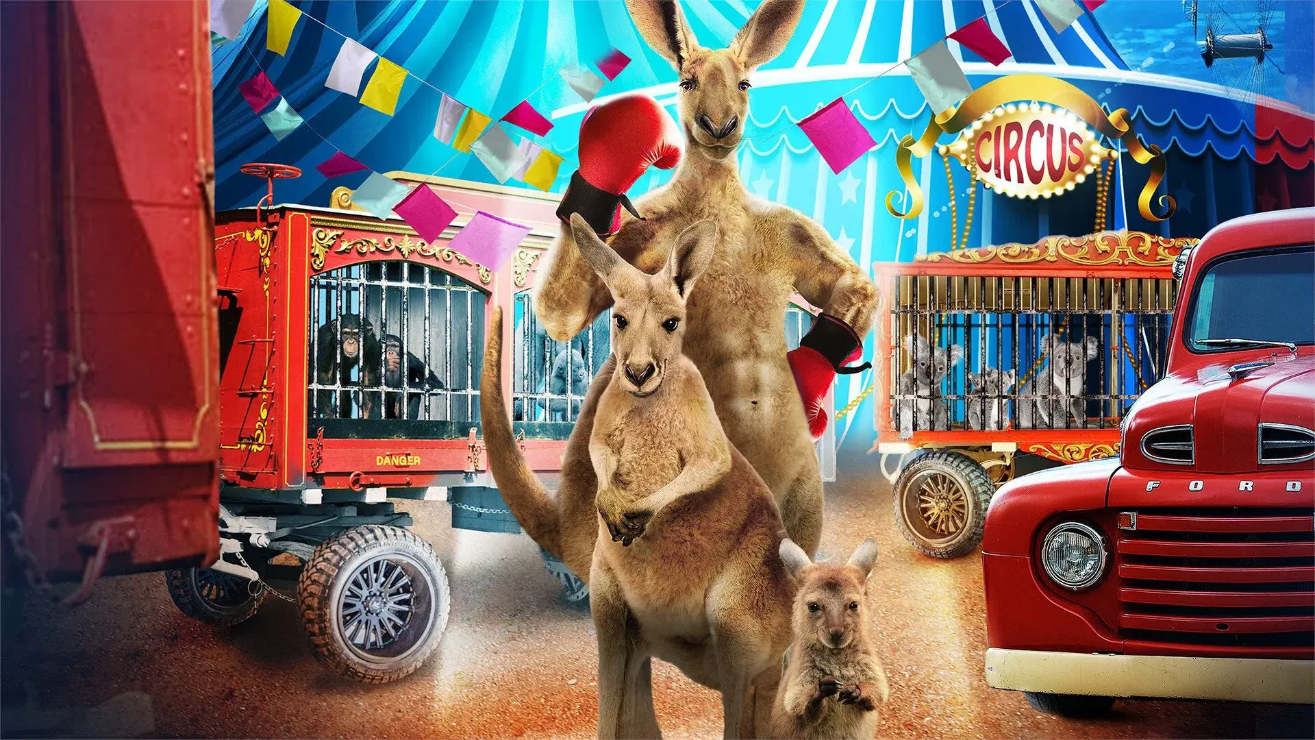 Joey, a Canguru Falante