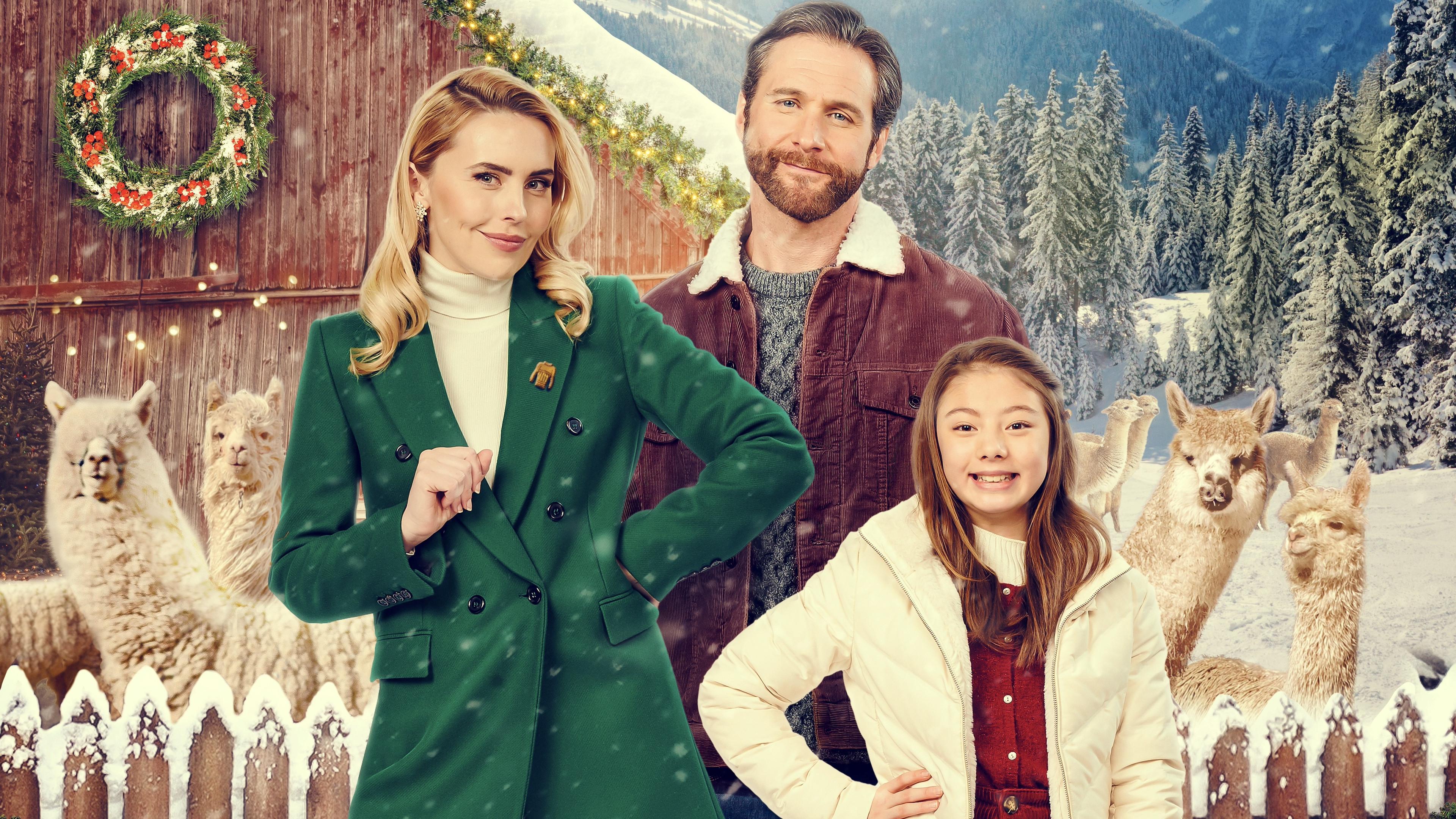 Um Suéter para o Natal