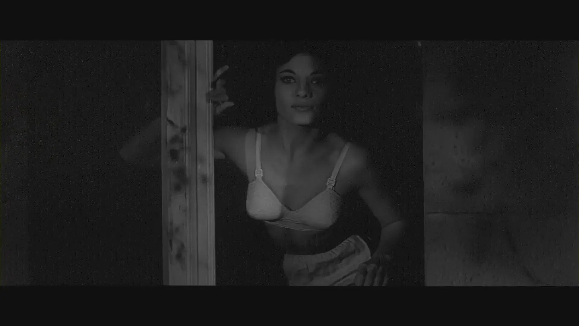 A Maldição da Mosca