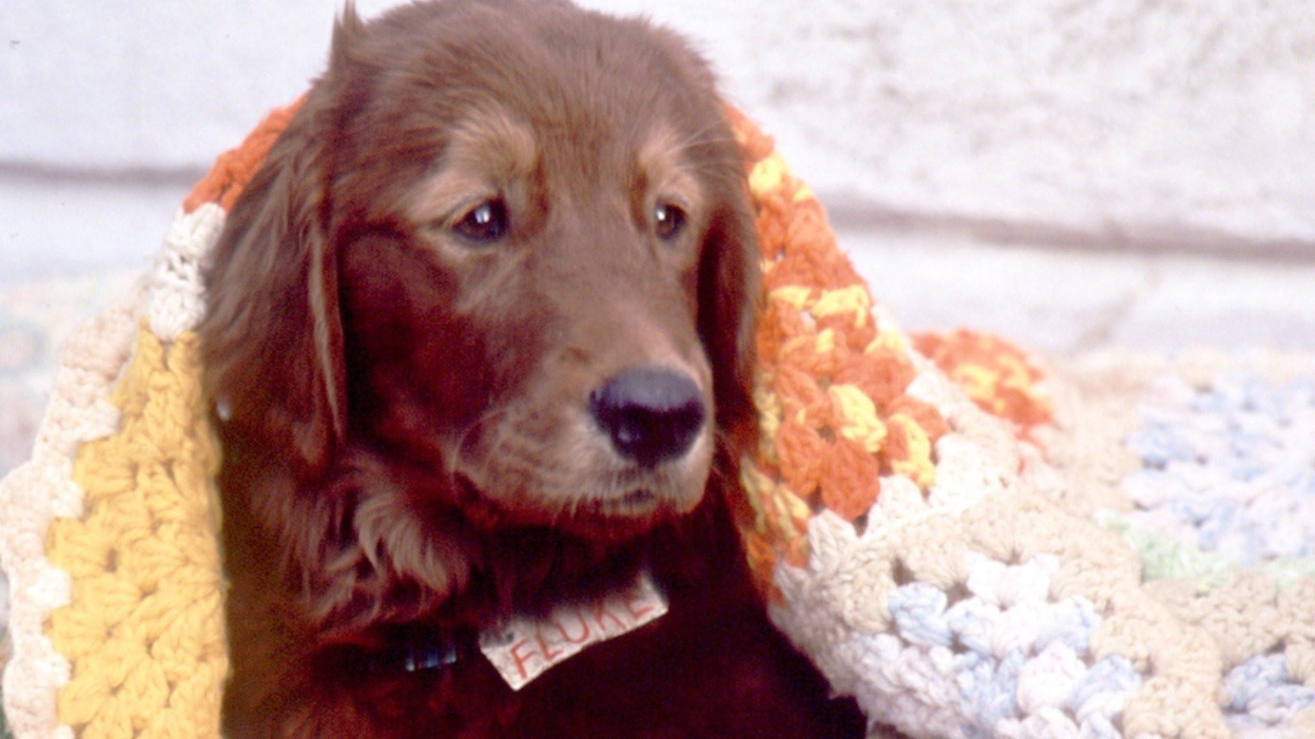 Lembranças de Outra Vida
