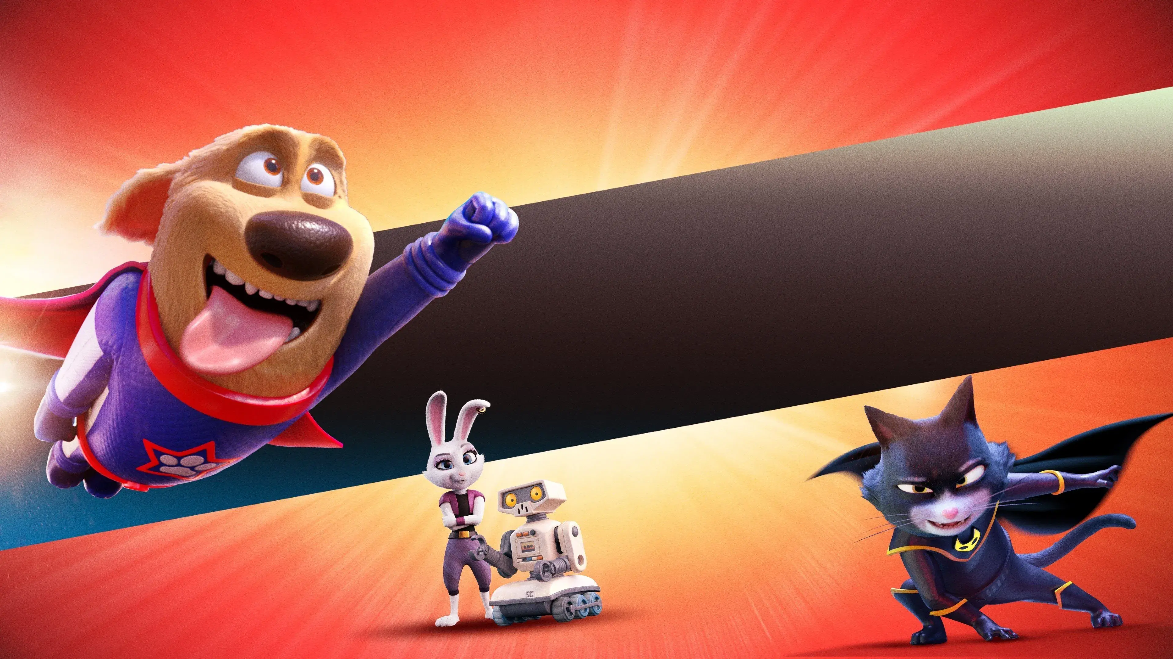 Cão-Estrela E Turbo-Gato