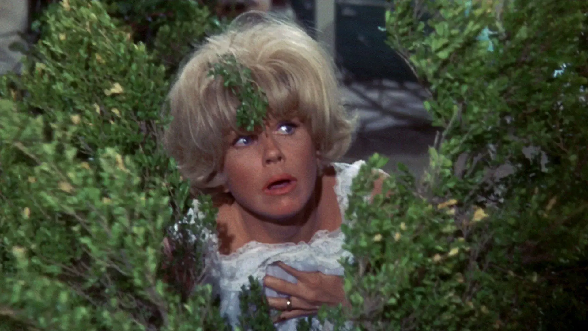 Não Me Mandem Flores