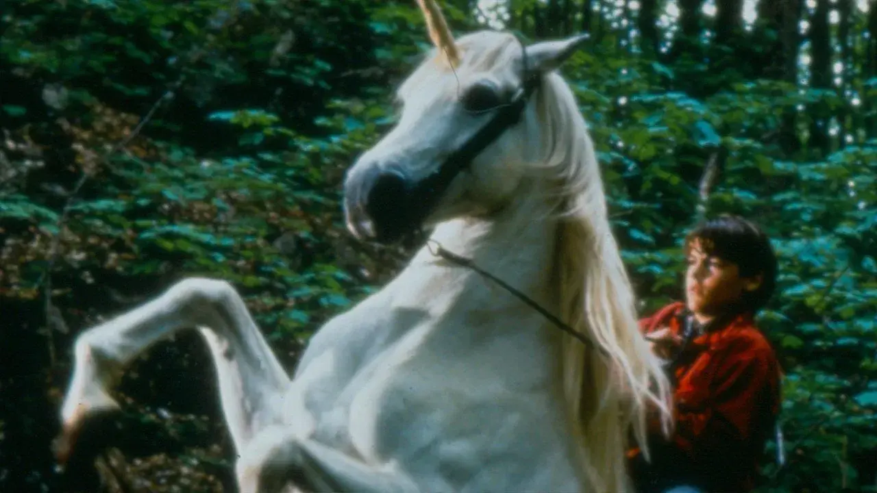 Meu Amigo, o Unicórnio