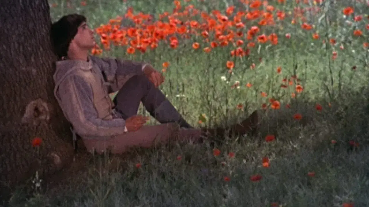 Irmão Sol, Irmã Lua