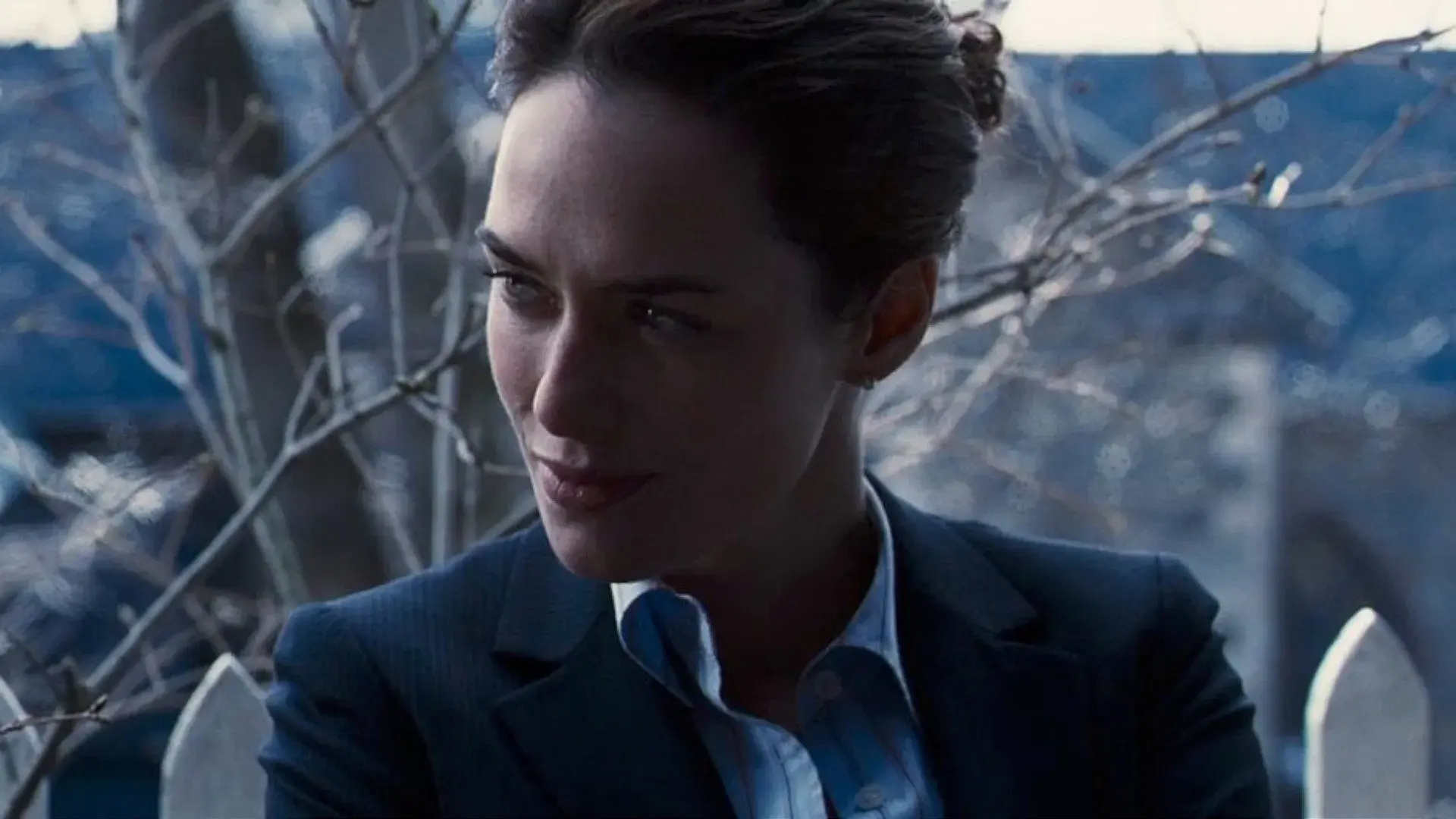 Instinto de Vingança