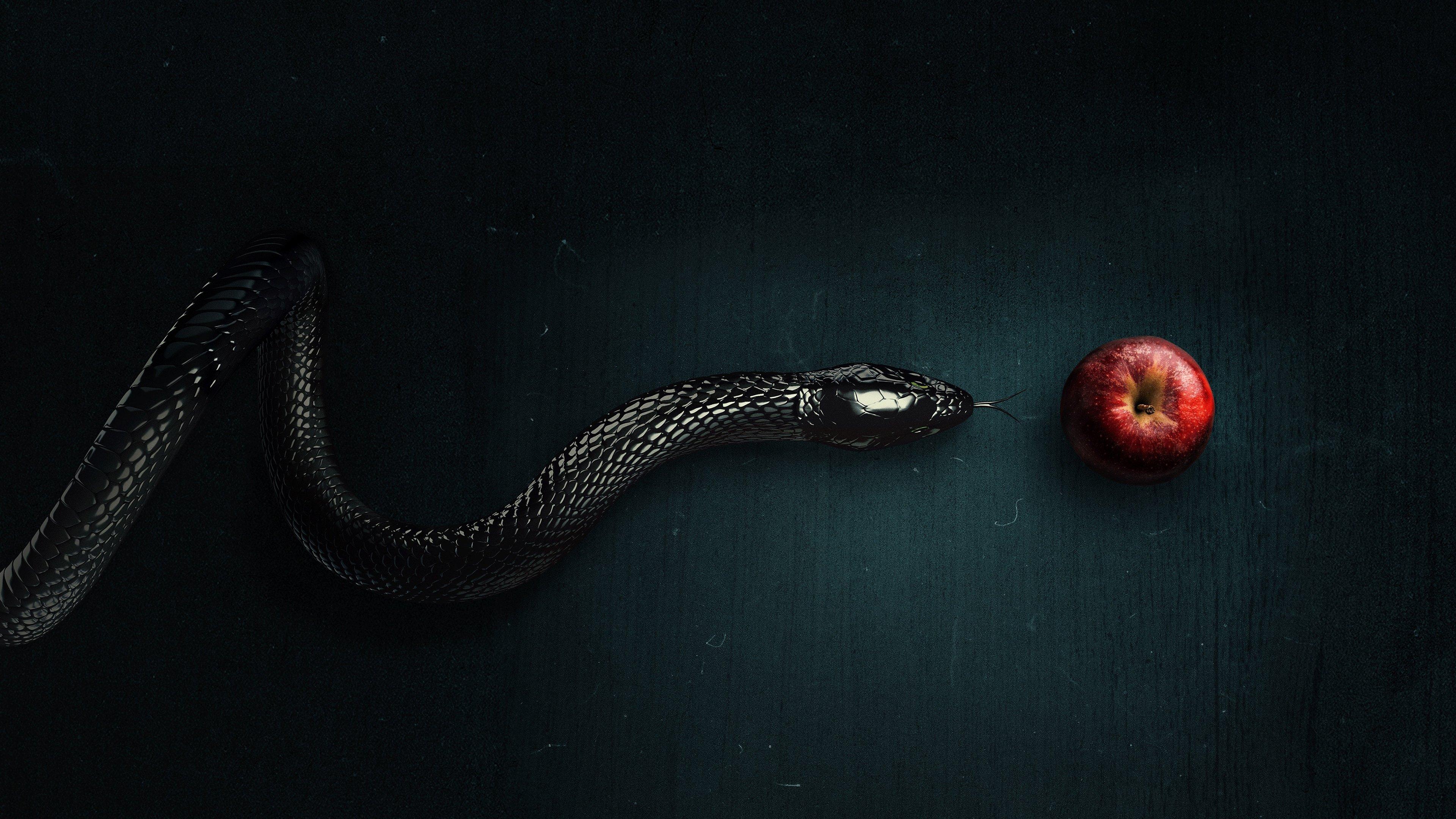 Evil: Contatos Sobrenaturais