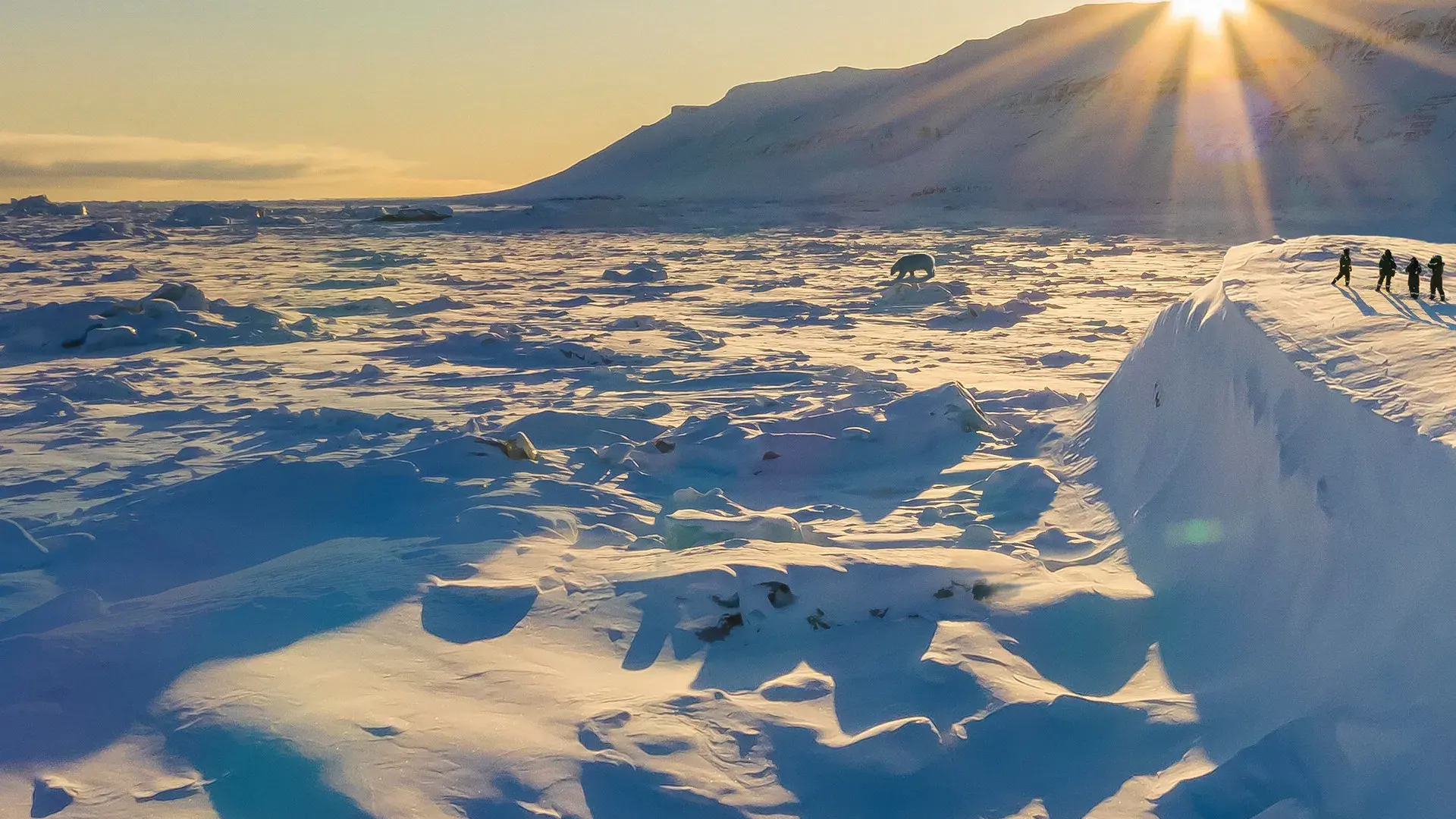 No Caminho da Ursa Polar