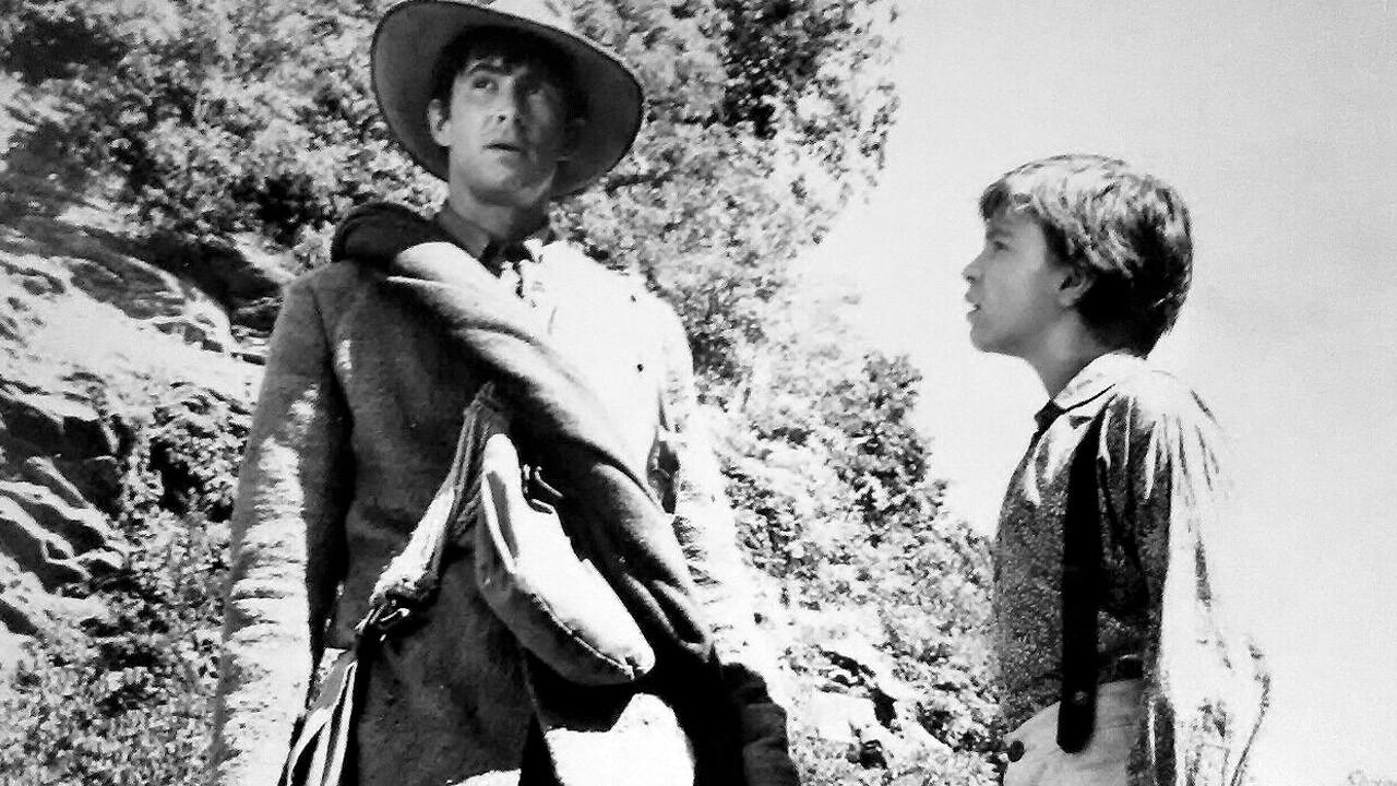 Uma Sombra na Janela