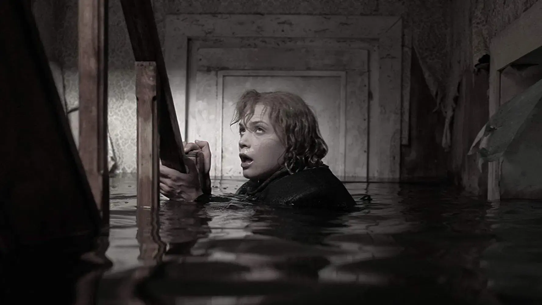 A Natureza Contra Ataca