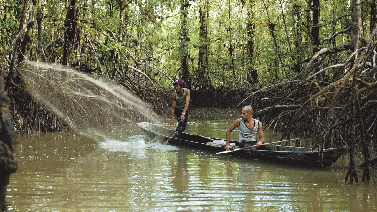 El vuelco del cangrejo