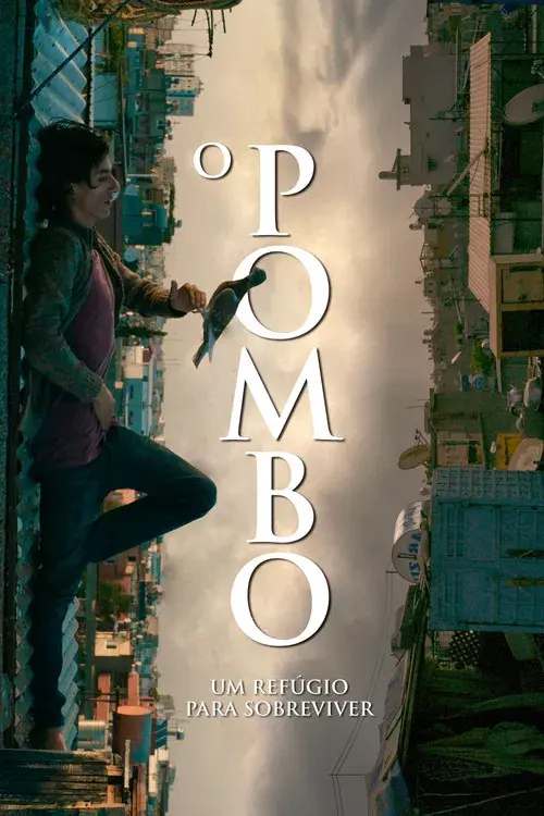 O Pombo - Um Refúgio para Sobreviver
