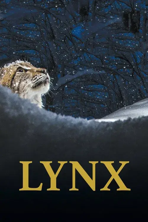 Lynx